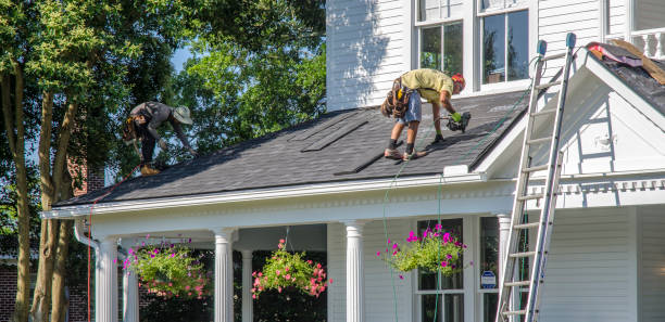 Best Gutter Installation and Roofing  in Bon Aqua Junction, TN